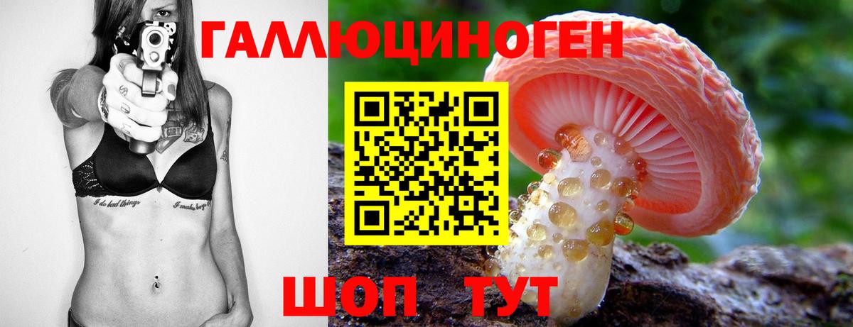 Псилоцибиновые грибы Cubensis Оренбург